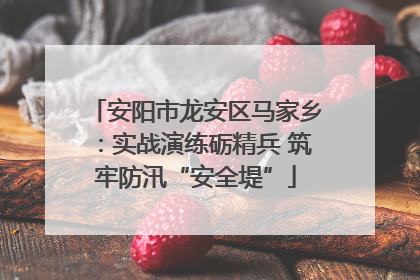 安阳市龙安区马家乡：实战演练砺精兵 筑牢防汛“安全堤”