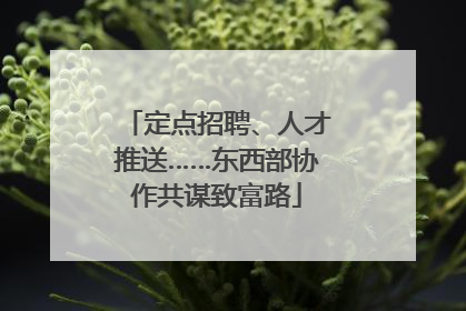 定点招聘、人才推送……东西部协作共谋致富路