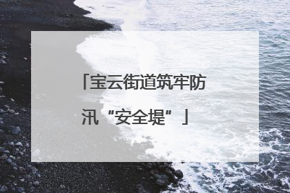 宝云街道筑牢防汛“安全堤”