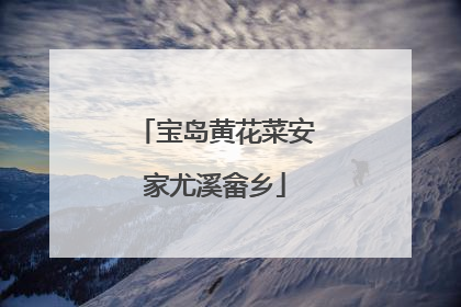 宝岛黄花菜安家尤溪畲乡