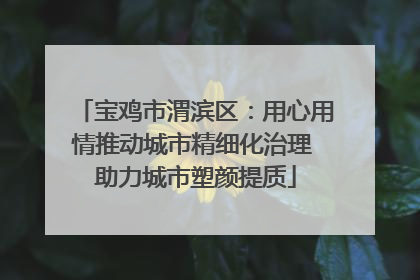 宝鸡市渭滨区：用心用情推动城市精细化治理 助力城市塑颜提质