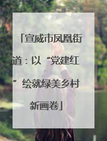 宣威市凤凰街道：以“党建红”绘就绿美乡村新画卷