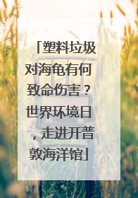塑料垃圾对海龟有何致命伤害？世界环境日，走进开普敦海洋馆