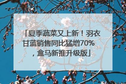 夏季蔬菜又上新！羽衣甘蓝销售同比猛增70%，盒马新推升级版