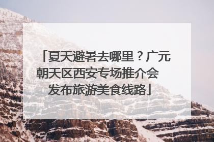 夏天避暑去哪里？广元朝天区西安专场推介会 发布旅游美食线路