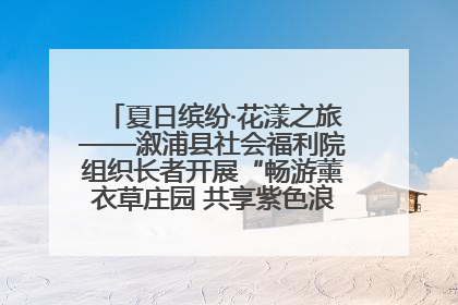 夏日缤纷·花漾之旅——溆浦县社会福利院组织长者开展“畅游薰衣草庄园 共享紫色浪漫”户外活动