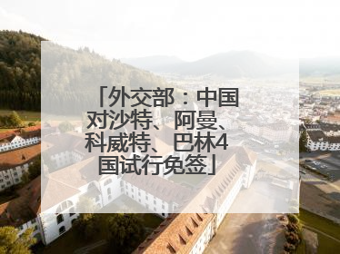 外交部：中国对沙特、阿曼、科威特、巴林4国试行免签