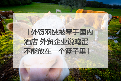 外贸羽绒被牵手国内酒店 外贸企业说鸡蛋不能放在一个篮子里