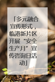 多元融合宣传形式，临港新片区开展“安全生产月”宣传咨询日活动