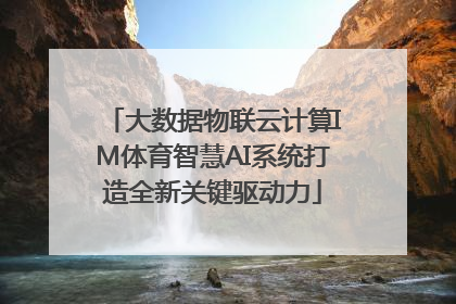 大数据物联云计算IM体育智慧AI系统打造全新关键驱动力