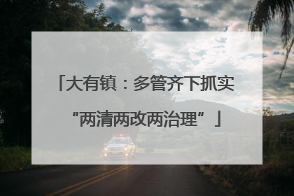 大有镇：多管齐下抓实“两清两改两治理”