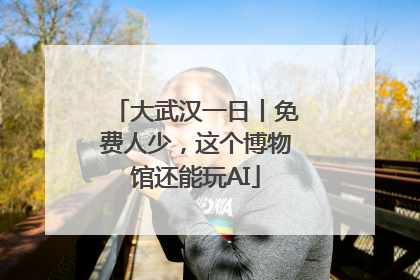 大武汉一日丨免费人少，这个博物馆还能玩AI