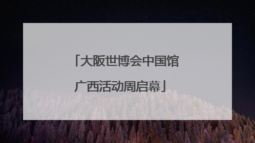 大阪世博会中国馆广西活动周启幕