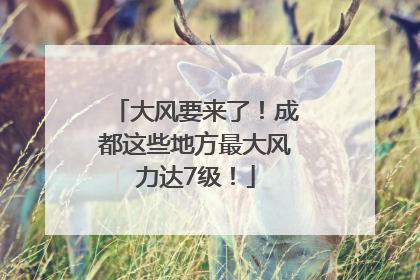 大风要来了！成都这些地方最大风力达7级！