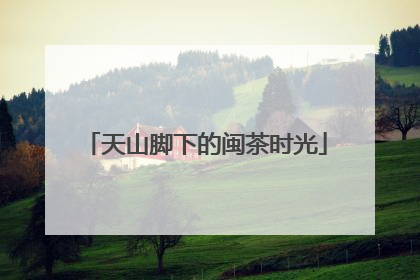 天山脚下的闽茶时光
