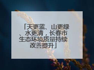 天更蓝、山更绿、水更清，长春市生态环境质量持续改善提升