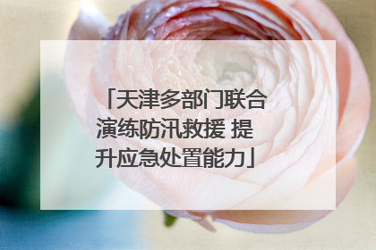 天津多部门联合演练防汛救援 提升应急处置能力