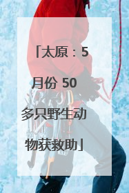 太原：5月份 50多只野生动物获救助
