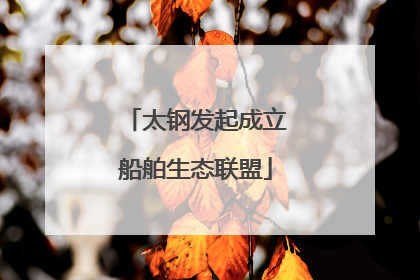 太钢发起成立船舶生态联盟