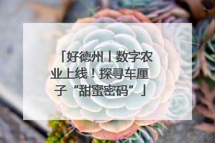好德州丨数字农业上线！探寻车厘子“甜蜜密码”