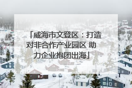 威海市文登区：打造对非合作产业园区 助力企业抱团出海