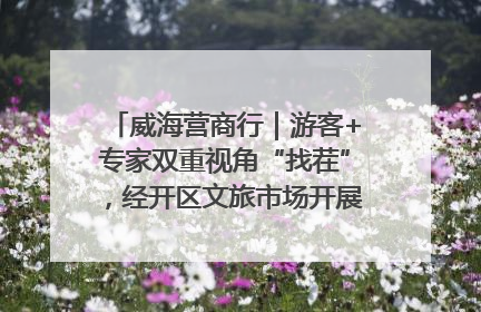 威海营商行｜游客+专家双重视角“找茬”，经开区文旅市场开展暑期前“体检”