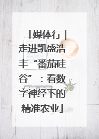 媒体行｜走进凯盛浩丰“番茄硅谷”：看数字神经下的精准农业