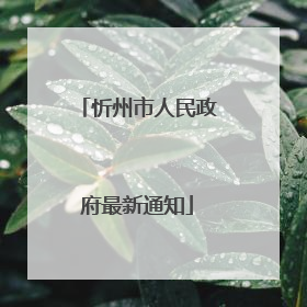 忻州市人民政府最新通知