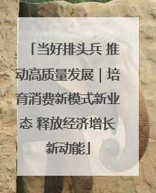 当好排头兵 推动高质量发展｜培育消费新模式新业态 释放经济增长新动能