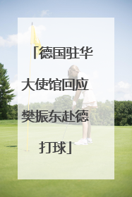 德国驻华大使馆回应樊振东赴德打球