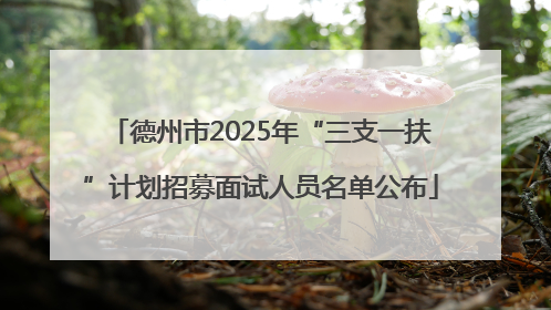 德州市2025年“三支一扶”计划招募面试人员名单公布