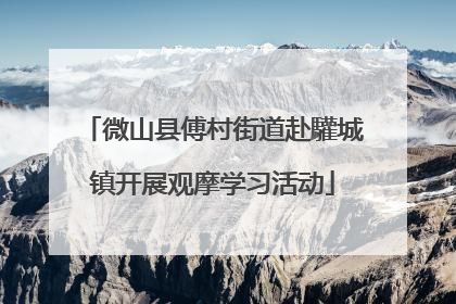微山县傅村街道赴驩城镇开展观摩学习活动