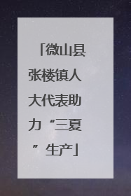 微山县张楼镇人大代表助力“三夏”生产
