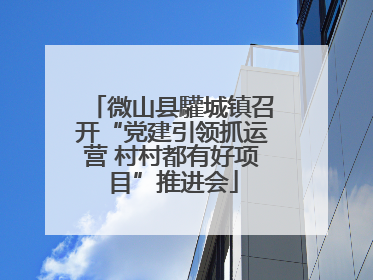 微山县驩城镇召开“党建引领抓运营 村村都有好项目”推进会