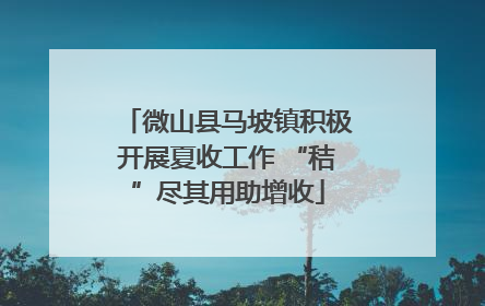 微山县马坡镇积极开展夏收工作 “秸”尽其用助增收