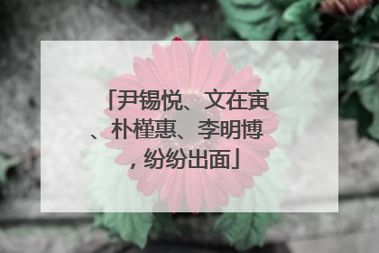 尹锡悦、文在寅、朴槿惠、李明博，纷纷出面
