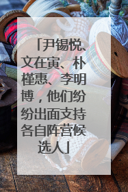 尹锡悦、文在寅、朴槿惠、李明博，他们纷纷出面支持各自阵营候选人