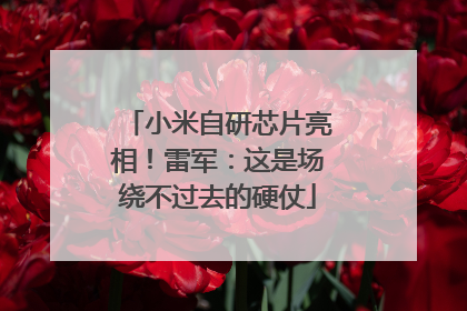 小米自研芯片亮相！雷军：这是场绕不过去的硬仗