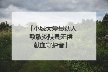 小城大爱最动人 致敬炎陵县无偿献血守护者