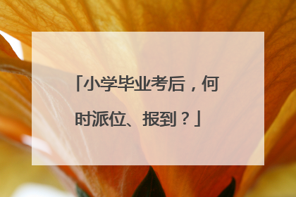 小学毕业考后，何时派位、报到？