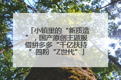 小镇里的“新质造”，国产原创主题服借拼多多“千亿扶持”圈粉“Z世代”