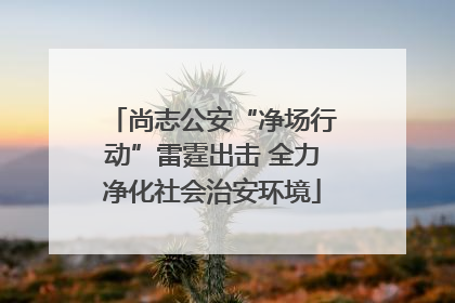 尚志公安“净场行动”雷霆出击 全力净化社会治安环境