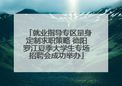 就业指导专区量身定制求职策略 德阳罗江夏季大学生专场招聘会成功举办