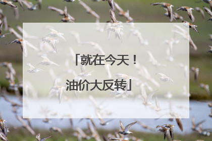 就在今天！油价大反转