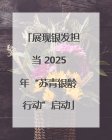 展现银发担当 2025年“苏青银龄行动”启动