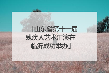 山东省第十一届残疾人艺术汇演在临沂成功举办