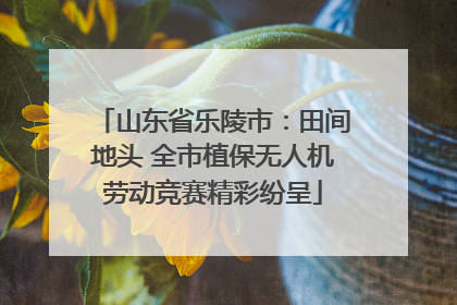 山东省乐陵市：田间地头 全市植保无人机劳动竞赛精彩纷呈