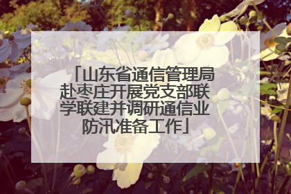 山东省通信管理局赴枣庄开展党支部联学联建并调研通信业防汛准备工作