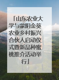 山东农业大学与蒙阴金葵农业乡村振兴合伙人启动仪式暨新品种蜜桃推介活动举行