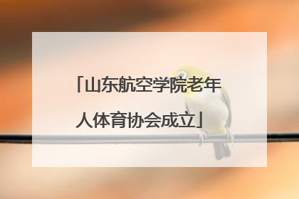山东航空学院老年人体育协会成立